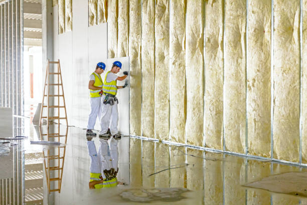 Best Energy Efficiency Solutions in Hemphill, TX